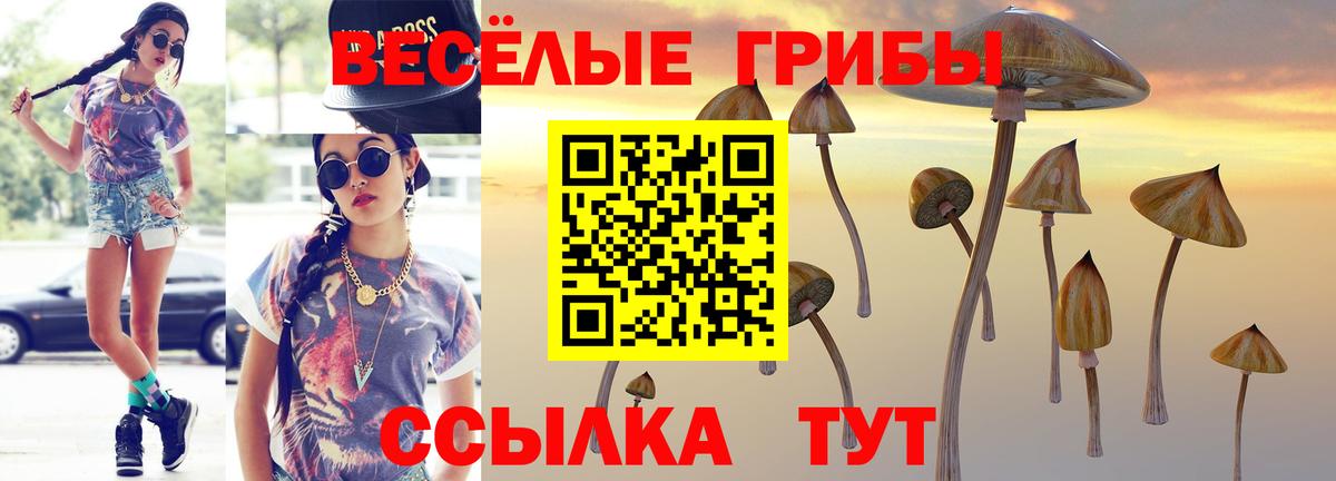 Киров  Галлюциногенные грибы Magic Shrooms  продажа наркотиков  Вход с VPN 