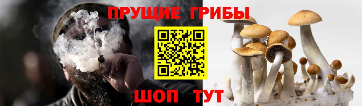 Галлюциногенные грибы мухоморы Киров